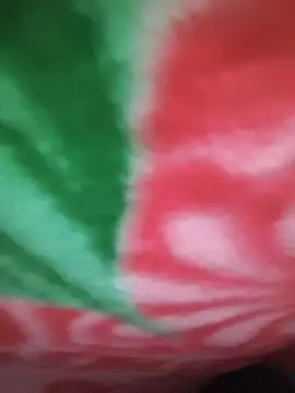 Punjabi_Ladka