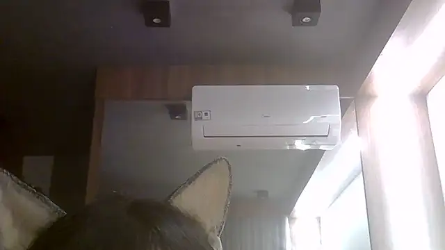 skinnykitten (T young) - 😮