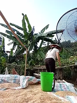 nakax6969