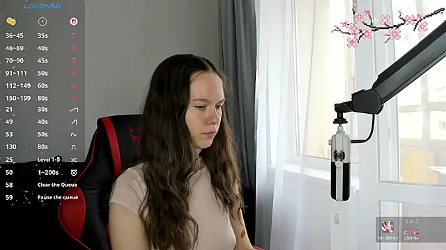Vulgar_Tamer