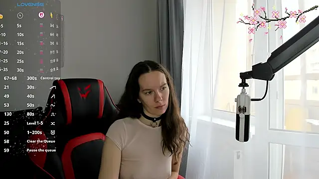 Vulgar_Tamer