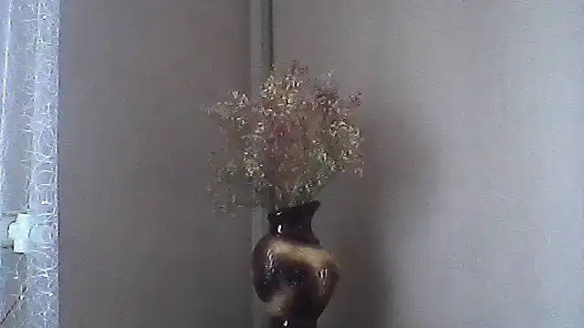 Littlecatme live cam on StripChat