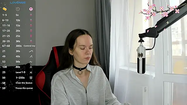 Vulgar_Tamer