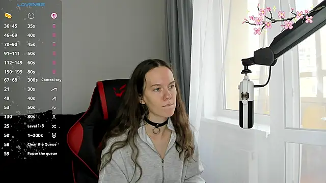 Vulgar_Tamer