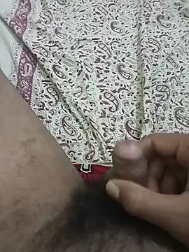 rajsibu (M young) - 100