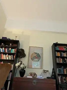 -Alisa
