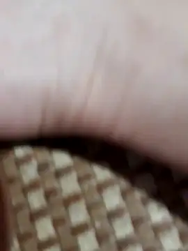 -Tara-a