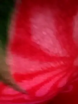 punjabi_ladka (M young) - Cum Show