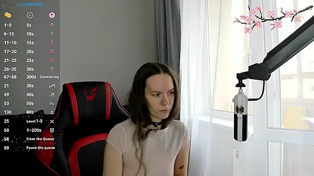 Vulgar_Tamer