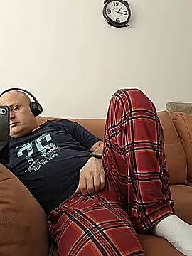 wanhelsilnk webcam