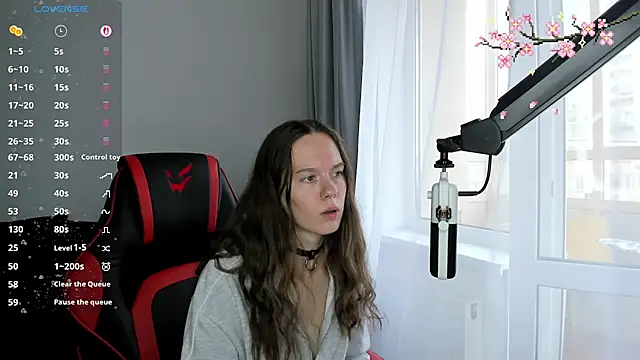 Vulgar_Tamer