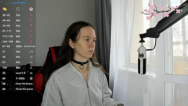 Vulgar_Tamer