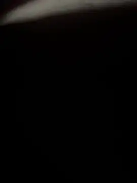 elvrgonzales