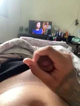novinhodopaugraudo