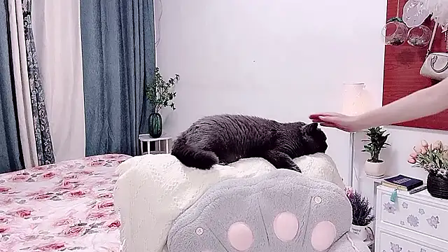 Laura_520