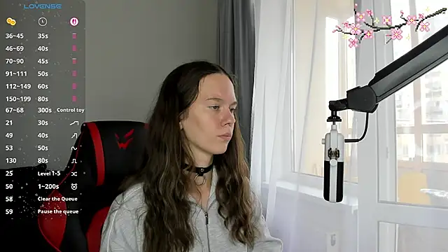 Vulgar_Tamer