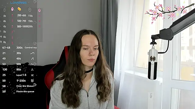Vulgar_Tamer