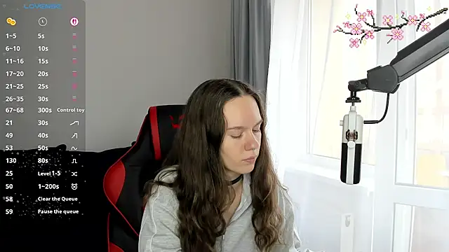 Vulgar_Tamer