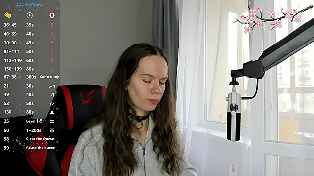 Vulgar_Tamer