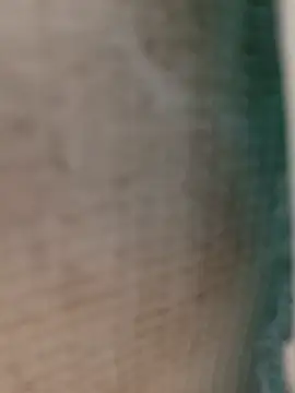 Baese-lsedd