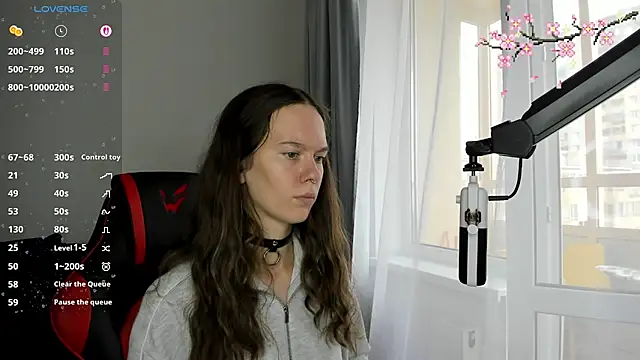 Vulgar_Tamer