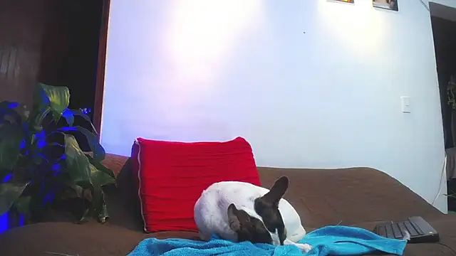 shellsy_hans (T young) - make me cum