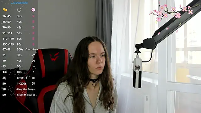 Vulgar_Tamer