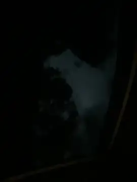 Uber-driver-dam