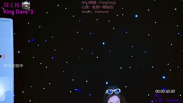 CCTW-100 webcam