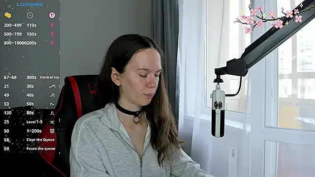 Vulgar_Tamer