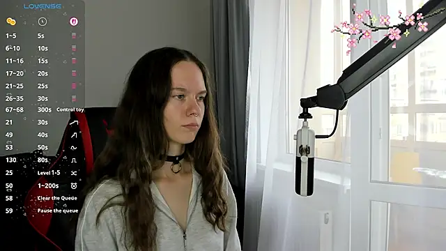 Vulgar_Tamer