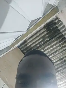 pretosali