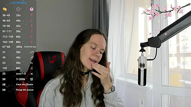 Vulgar_Tamer