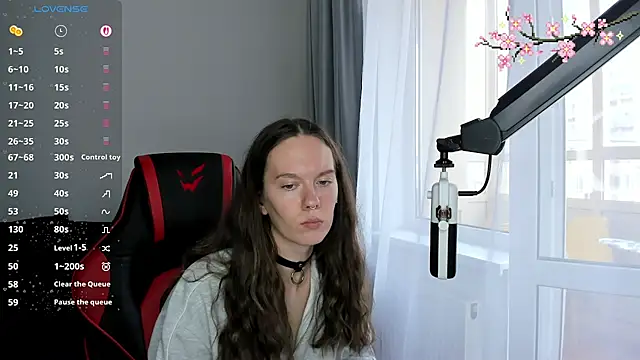 Vulgar_Tamer