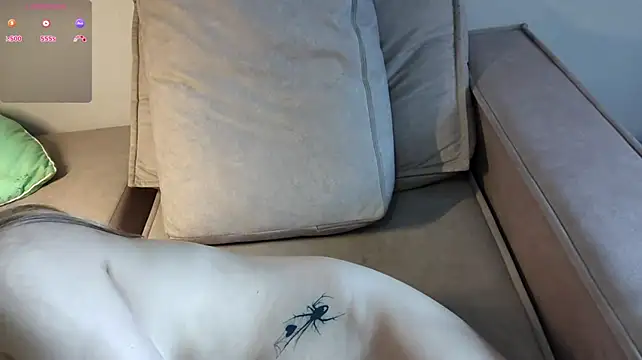 TalorSprint webcam