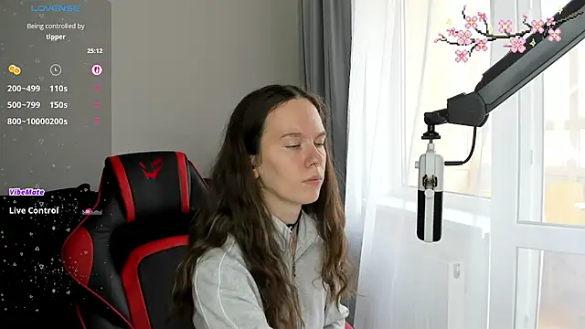 Vulgar_Tamer