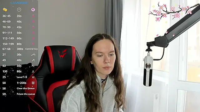 Vulgar_Tamer