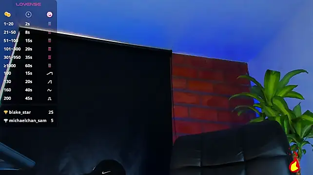 vanegas_luis webcam