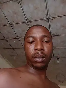 bandile3d