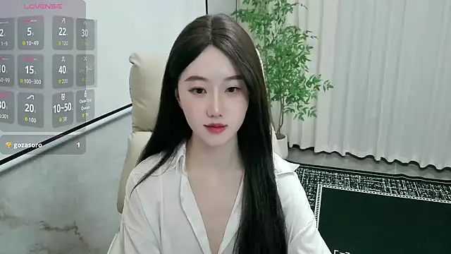 LUNYI-CC webcam