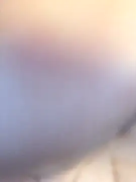 Shaky1998sl