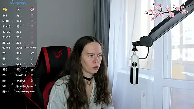 Vulgar_Tamer