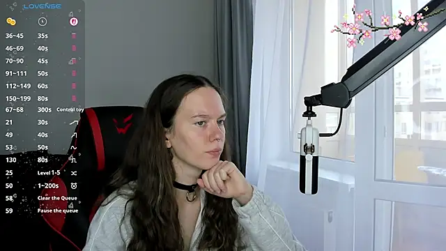 Vulgar_Tamer