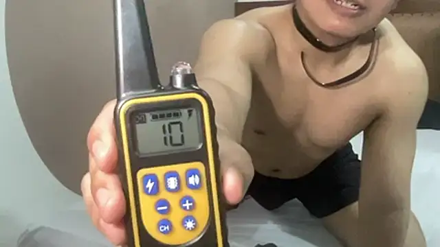 zero-kun avatar