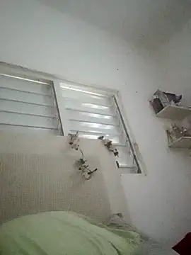 Mithckey webcam