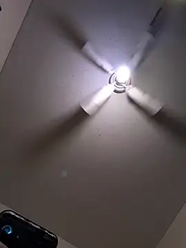 Cnutt310 webcam