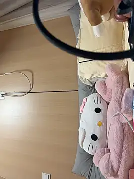 MeimoDog