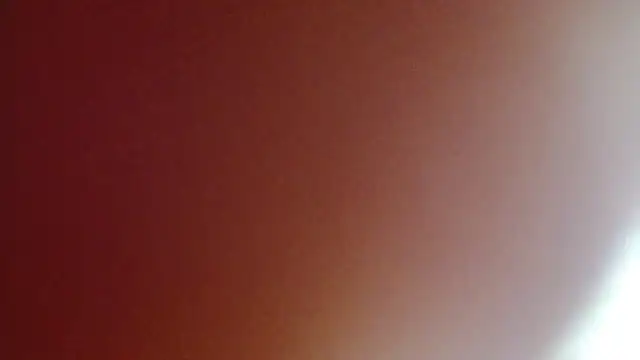 coco-LL live webcam