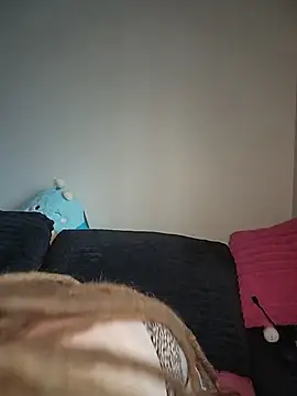 LucidLucy 🔬 naked cam chat