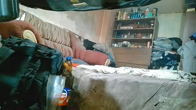 belacska66